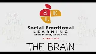 The Brain and Self-Regulation