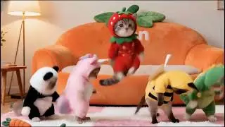 🐶🎶 Small Pets With Big Dance Energy &mdash; This Is What Pure Joy Looks Like 💃🐾✨