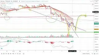 An introduction to Bitcoin, digital assets and technical analysis.