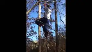 When tree tipping goes wrong