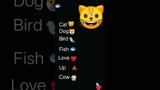 find all