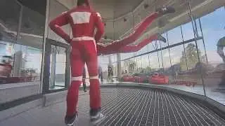 Flyspot