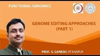 Genome Editing Approaches (Part 1)