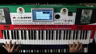 TECLADOS RITMOS SAMPLES EN VENTA