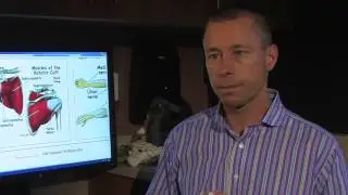 Rotator Cuff Injury - Dr Erik Dorf