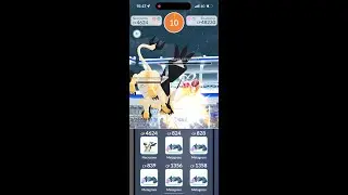 Fairy Wind/Grass Knot Enamorus-Incarnate Solo Raid, Snow Weather, Dusk Mane Necrozma Only