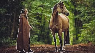 [Shooting] Viking