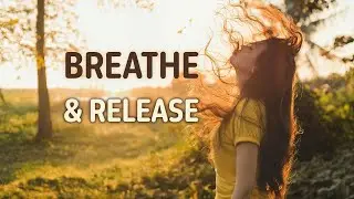 Breathe with the Wind | A Refreshing Forest Meditation