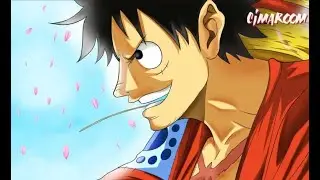 #one piece chapter 1002#