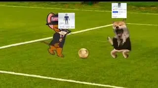 Un video random 