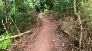 TEBAN ss4 tr