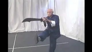 wu tai chi saber 02