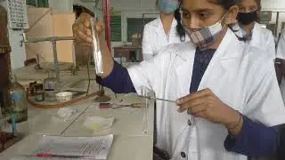 BSc Organic Chemistry : Detection of extra elements present in given Organic compound