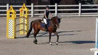 Show Jumping Equides Cup 8 етап, маршрути 16, 16 А, 17.