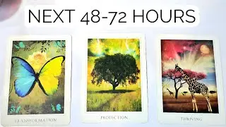 PICK&bull;&bull; NEXT 48-72 HOURS ⏰️ ENERGY CHECK-IN 🪄 WHAT'S COMING NEXT FOR YOU 👀 (TIMELESS)