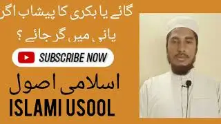 kutta aur billi k peshab ka hukm