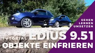 EDIUS - Objekte im Video einfrieren.
