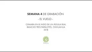 El vuelo de Torquito, Nido Tres Papalotes