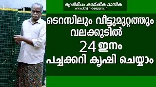 ടെറസിലും വീട്ടുമുറ്റത്തും  വലക്കൂടിൽ. 24 ഇനം പച്ചക്കറി കൃഷി ചെയ്യാം/VEGETABLE CULTIVATION IN TERRACE