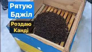 Зимова підгодівля🐝😊 #пасіка #бджоли #зима @ОлександрМаринюк-ч1к 