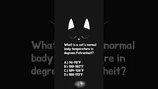 Cat Trivia 0007 #cat #cattrivia #cute #trivia #triviaaddict #catlover #funtrivia #kitten #triviatime