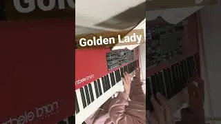 Golden Lady ♪Intro ～      Stevie Wonder (cover ）
