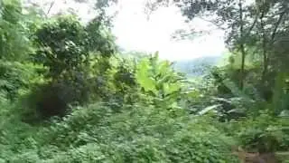 DSCN0439
