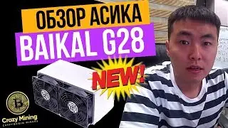 Обзор асика Baikal G28 на 8 алгоритмах - Мультимайнер! Эволюция майнинга V - Майнинг оборудование