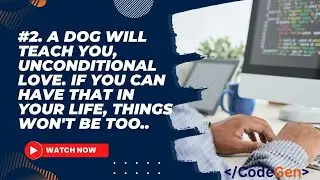 2. A dog will teach you unconditional love. If you can have that in your life, things won't be too..