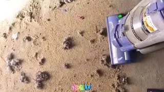 Shark Navigator vs Hoover Elite Rewind | NDQ 🦋