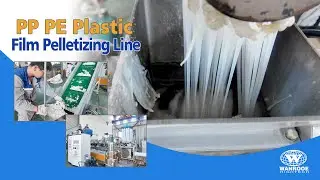 High-Efficiency PP/PE Film Extrusion-Pelletizing System | Moisture less than 3%|Output 100-1000kg/h