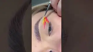#eyemakeup #eyelook #easyeyemakeup  #eyemakeuptutorial #eyeshadow #eyelashes #shorts #ytshorts