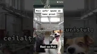 Șeful și bancul #glumebune #humor #pamflet #glume #parodie #meme #interviuriamuzante #funny #arthur