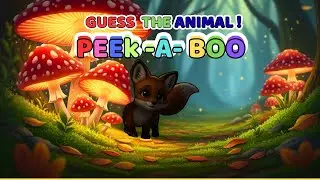 Guess the Hidden Animals in the Forest! 🐰🐿️ | The Bunnytoon