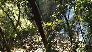 Sirimane Falls..Sringeri