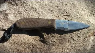 William Collins Jr. Fieldlore, Multigrinds, and Upcoming Projects