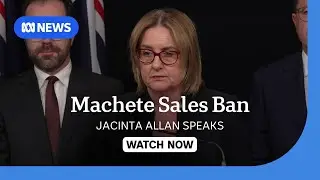 Melbourne brawl: Victoria to ban sale of machetes after violent attack | ABC NEWS