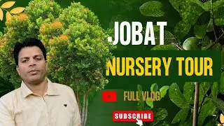 Jobat Green House 🍐🍓🌺