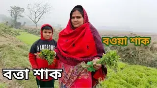 সবাই মিলে জমিতে এলাম | বত্তা শাক ও বওয়া শাক তোলা | Beautiful Village Life Vlog
