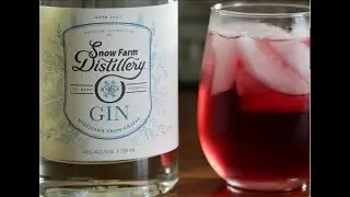 Cranberry Gin Fizz