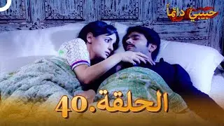 حبيبي دائماً الحلقة 40