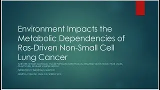 Environment Impacts the Metabolic Dependencies of Ras-Driven Non-Small Cell Lung Cancer