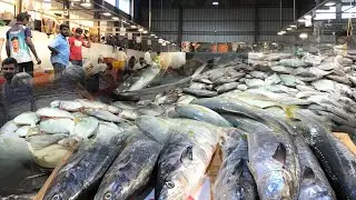 #chennai PKS whole sale less price fish market at Pallavaram #fish market @sumanchandran4619