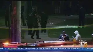 Arlington Heights Shooting
