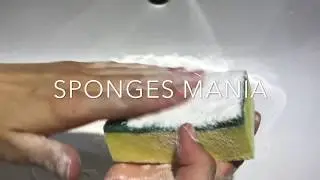 ASMR SPONGES | Powdery ripping kitchen sponge | Sponge, destroy sounds