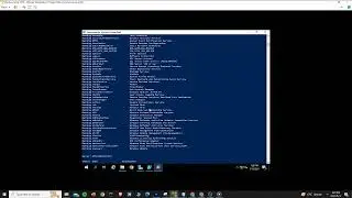 Windows Server 2019 Maintenance, via powershell.
