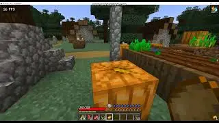 bandicam-minecraft