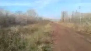 MOV00094