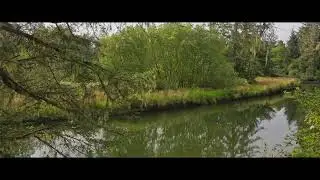 Ecola Creek 8 9 24 short 1080P