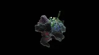 Aldebaran - Across The Sun feat. Filippo Nardini